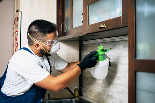Wasp Removal Services in Rusk, TX