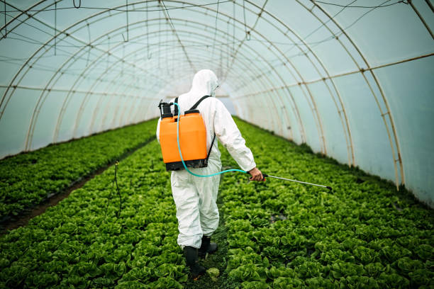Best Pest Inspection Near Me  in Rusk, TX