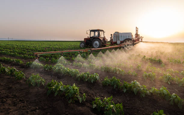 Professional Pest Control in Rusk, TX