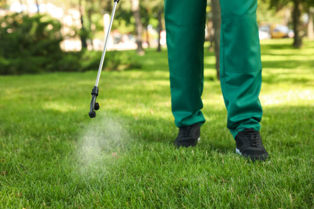 Best Commercial Pest Control Services  in Rusk, TX