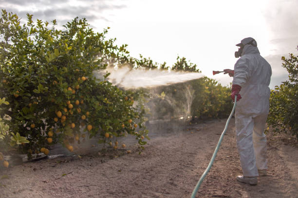 Pest Control for Restaurants in Rusk, TX